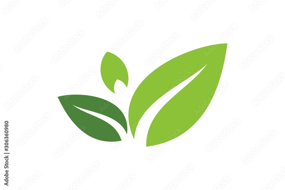 Leaves icon vector set isolated on white background. Various shapes of green leaves of trees and plants. Elements for eco and bio logo Leaves icon vector set isolated on white background. Various shapes of green leaves of trees and plants. Elements for eco and bio logo