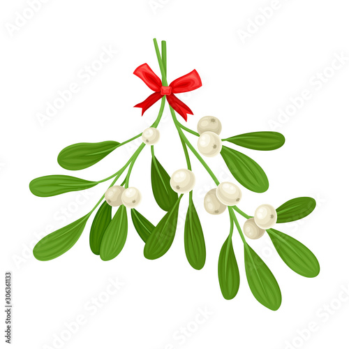 Mistletoe Branch Tied With Ribbon Vector Item