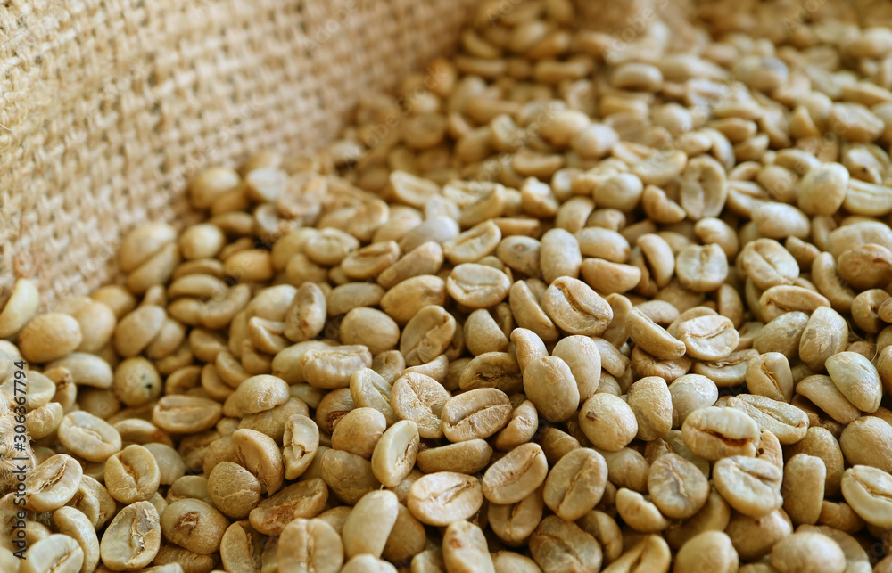Heap of unroasted coffee beans in the burlap bag Heap of unroasted coffee beans in the burlap bag