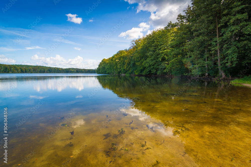 Sommer am See im Wald - Wolgastsee auf Usedom Sommer am See im Wald - Wolgastsee auf Usedom
