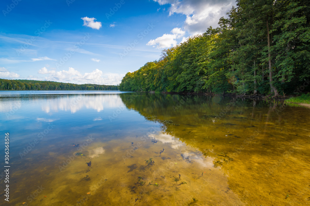 Sommer am See im Wald - Wolgastsee auf Usedom