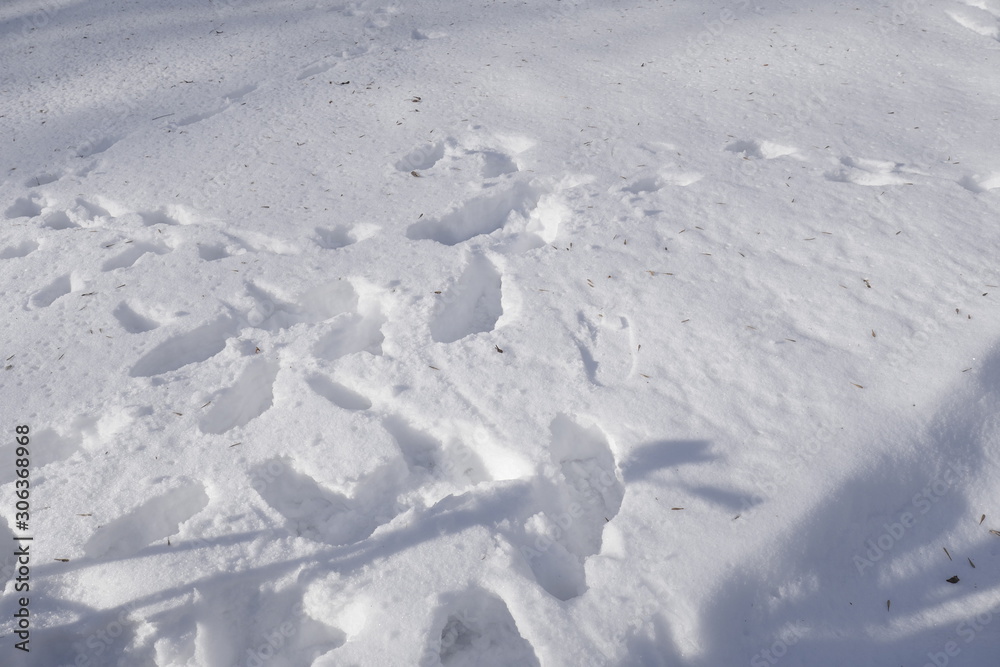 Snow cover on the ground. Steps on the snow. Winter landscape 