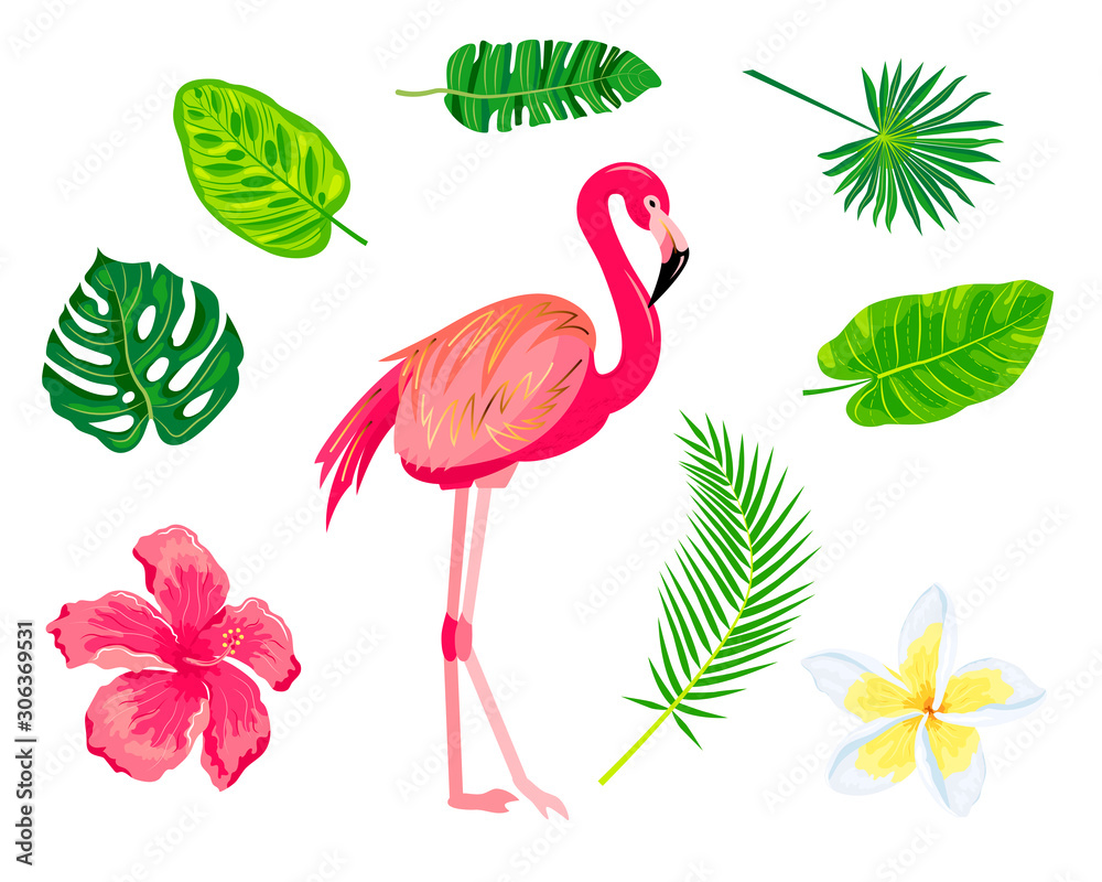 Fototapeta Flamingo, tropical leaves, plumeria, exotic flower, hibiscus set. Design for jungle design flyer, poster, t-shirt print, invites, sticker Vector illustration on white background