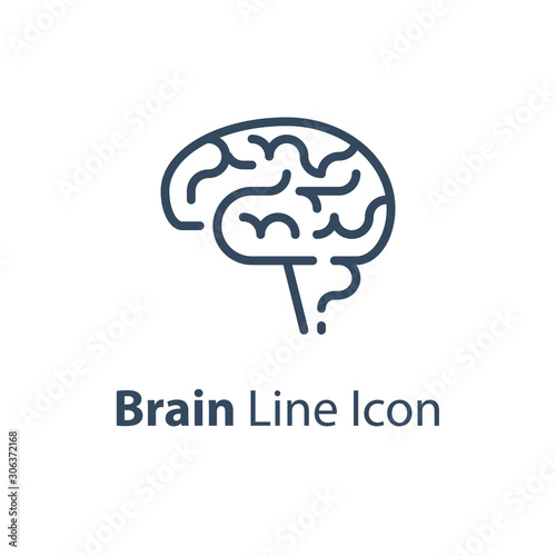 Human internal organ, brain side view, neuroscience concept, behavior research