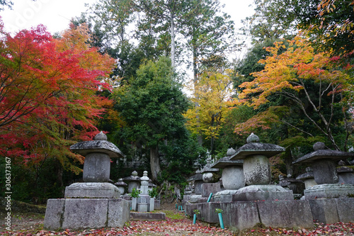 Nisonin Temple Arashiyama