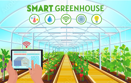Smart Farming. Farmer hand using a tablet to control temperature, humidity, light. A large greenhouse with rows of bell pepper, tomatoes, cucumbers, eggplants. Vector illustration.