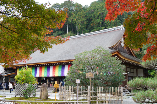 Nisonin Temple Arashiyama