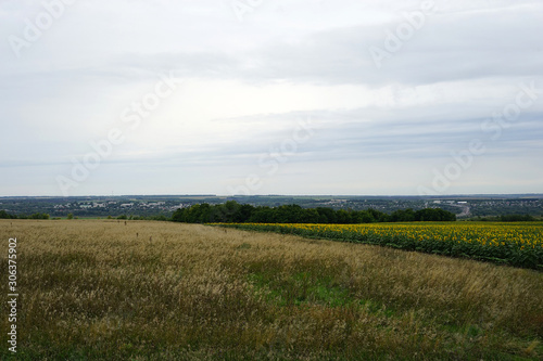 landscape  field  outdoor  road  nature  sky  summer  