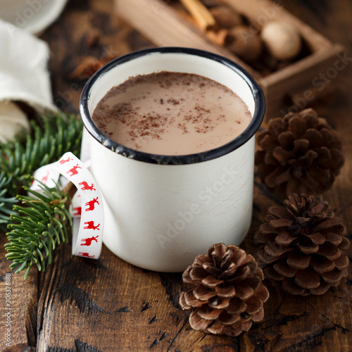 Homemade hot chocolate with cinnamon