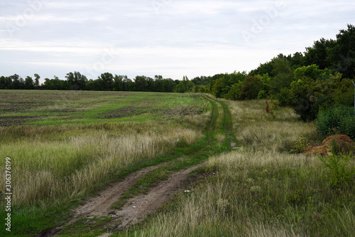 landscape, field, outdoor, road, nature, sky, summer, 