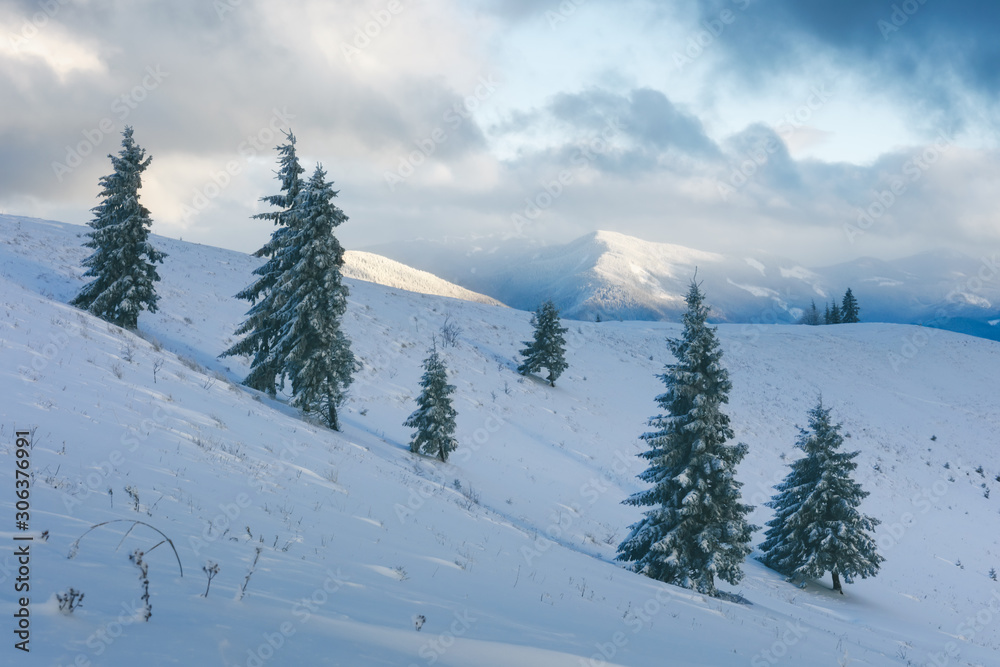 Fantastic winter landscape