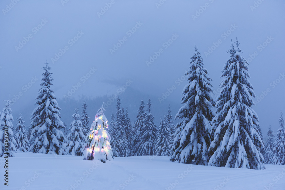 Fototapeta premium Holiday landscape with Christmas tree, snow and lights in winter mountains. New year celebration concept