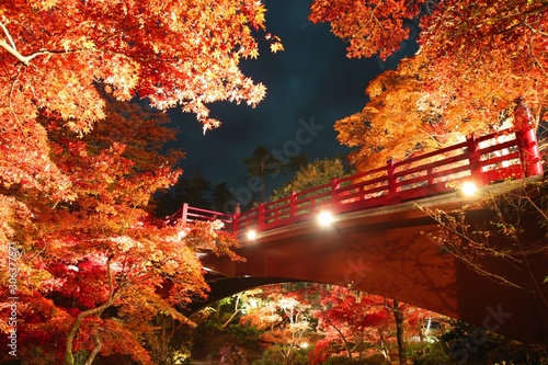 秋のもみじ谷の紅葉