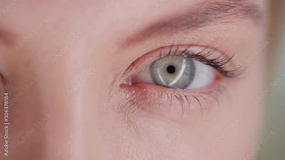 Eye close up, looking straight into camera, lightning reflection in eye, lashes macro shot, grey-green retina, shot on Red Weapon Helium Eye close up, looking straight into camera, lightning reflection in eye, lashes macro shot, grey-green retina, shot on Red Weapon Helium