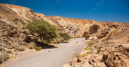Obraz na plátně Negev Israeli desert canyon warming scenery landscape photography with narrow pa