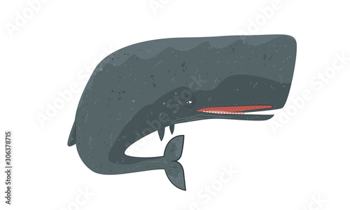 Whale