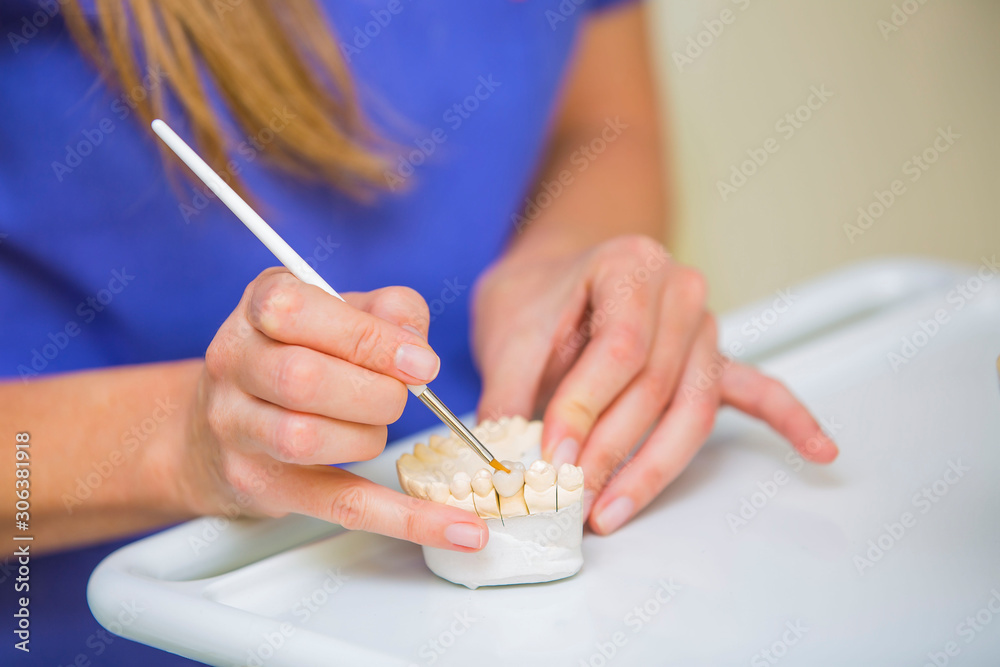 female hands work in the laboratory female hands work in the laboratory