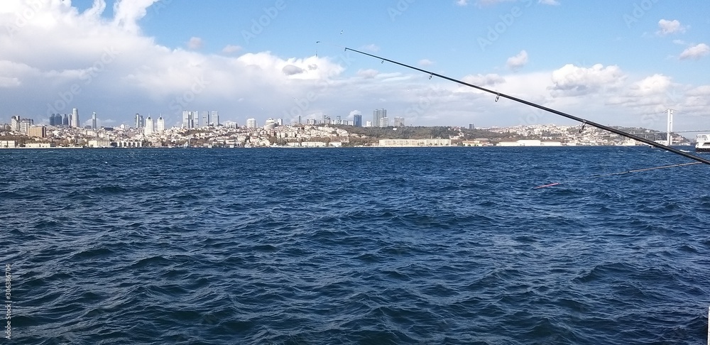 Catching Fish at Sea with Fishing Rod Catching Fish at Sea with Fishing Rod
