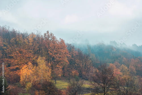 Autumn landscape. Gloomy mood. Dark sky. Woods in the fog. Home alone in field. Orange and yellow trees. Beautiful fall nature. Sunrise behind the clouds.
