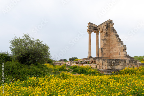 Ancient columns of Apollon Hylates,  sanctuary in Limassol district, Cyprus photo