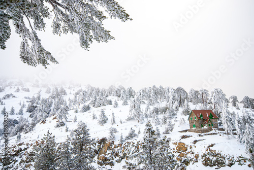 Winter Landscape, Troodos mountains Cyprus photo