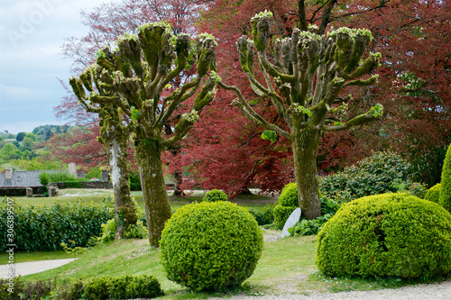 Trimmed trees in a castle park