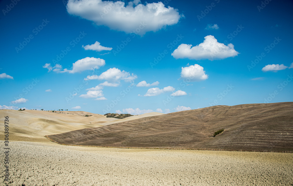 Idyllic landscape with meadow filed at Tuscany area   near Pienza, Italy, Europe