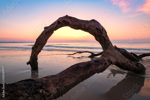 Driftwood Beach, Jekyll Island, Georgia, USA