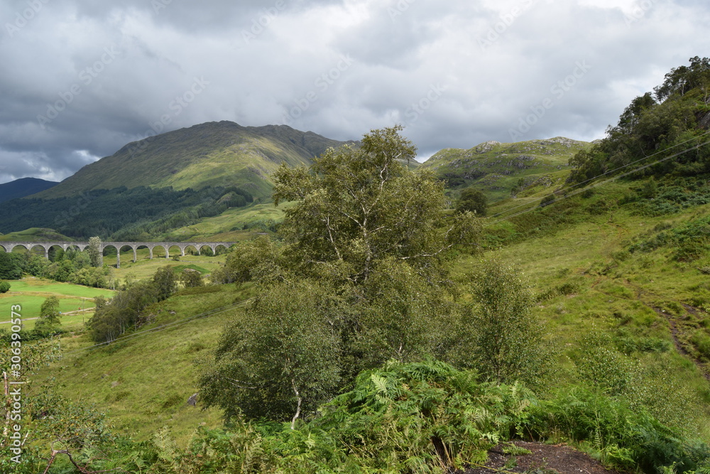 Obraz premium grüne Landschaft