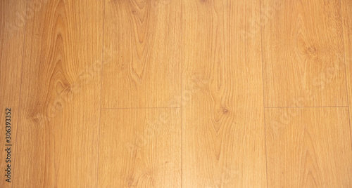 Wood floor, oak tree, interior parquet background texture