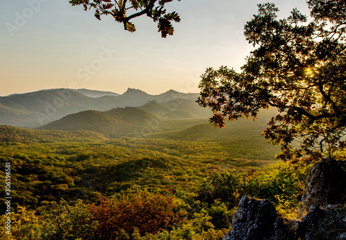 mountains covered by forest in the sunset