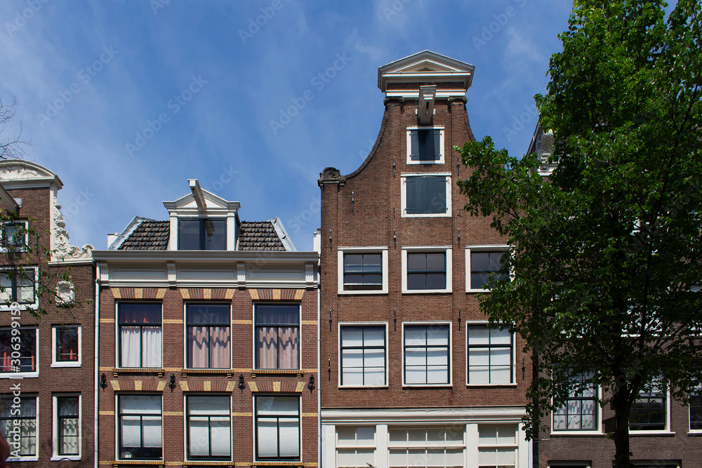 Fototapeta premium View of historical, traditional and typical buildings showing Dutch architectural style and a tree in Amsterdam. It is a sunny summer day.