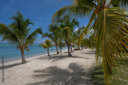 plage, ile maurice