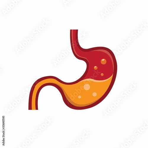 stomach human organ icon flat illustration vector photo