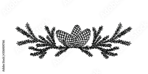 Vector hand drawn decoration with Christmas tree branches and pine cones. Sketched isolated new year garland on white background