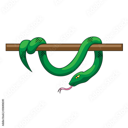 Snake vector illustration