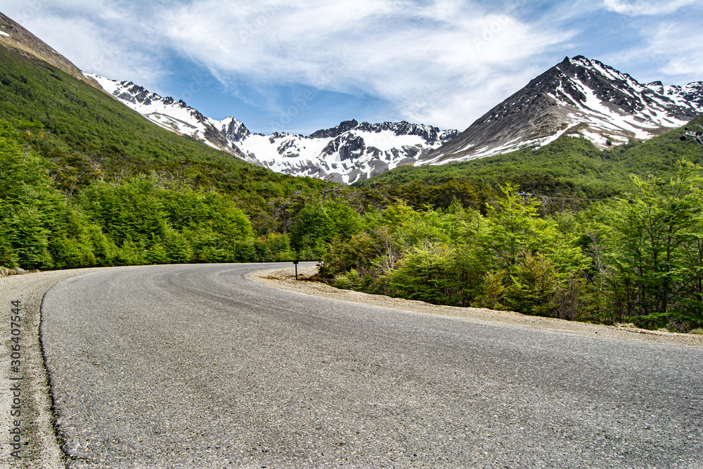 Fototapeta premium carretera curvada, rodeada de arboles con fondo a las montañas - glaciar Martial