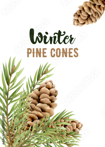 Winter pine cones on leaves. Watercolor seasonal vector