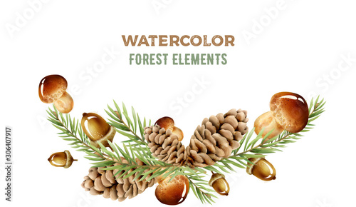 Watercolor forest elements with mushrooms, pine cone and leaves. Wide banner....