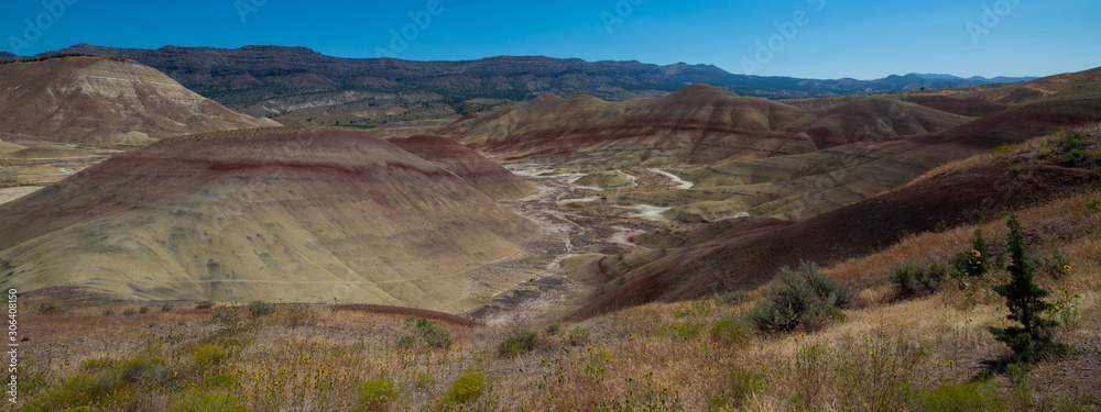 Beautiful landscape of Painted Hills in Eastern Oregon