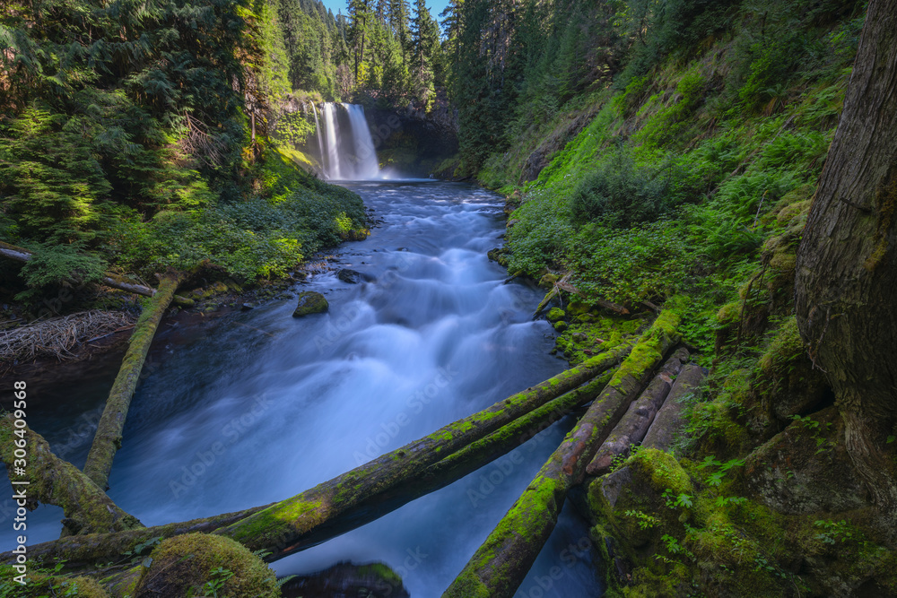McKenzie River leading towards Koosah Falls in Willamette Forest, Oregon McKenzie River leading towards Koosah Falls in Willamette Forest, Oregon
