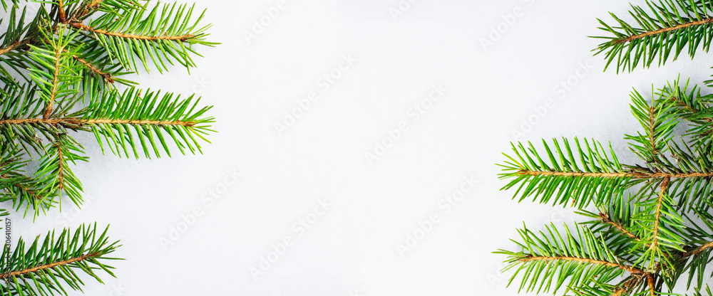 Green branches of fresh spruce closeup isolated on a gray white background. Concept banner postcard for Christmas and New Year. Copy space