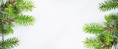 Green branches of fresh spruce closeup isolated on a gray white background. Concept banner postcard for Christmas and New Year. Copy space