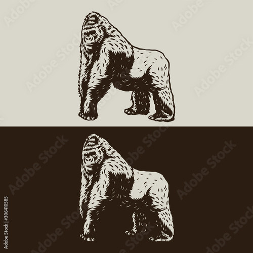 Hand drawing style with a gorilla use simple colors