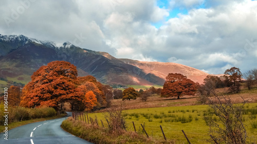 Lake District, UK - Colorful tree on a scenic road in the mountains in autumn colors with snow capped peaks in Cumbria, England, United Kingdom.