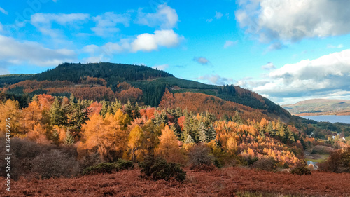 Forest in the mountains in autumn colors with snow capped peaks in the Lake District, Cumbria, England, United Kingdom. 