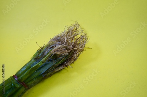 Herb root on background photo