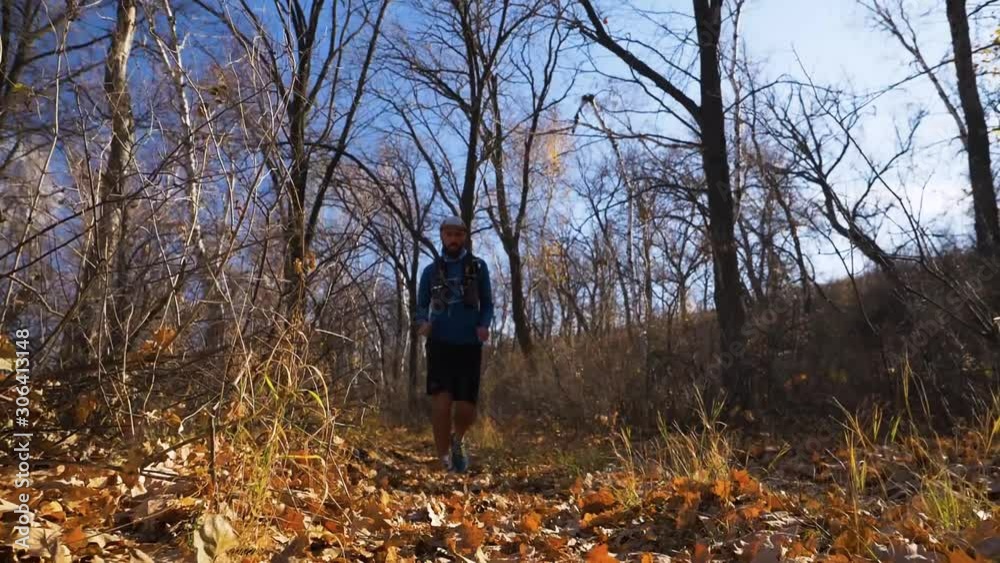 athlete runs along the trail in the autumn forest. Male athlete is training in the forest in autumn on a sunny day. Slow motion athlete runs along the trail in the autumn forest. Male athlete is training in the forest in autumn on a sunny day. Slow motion