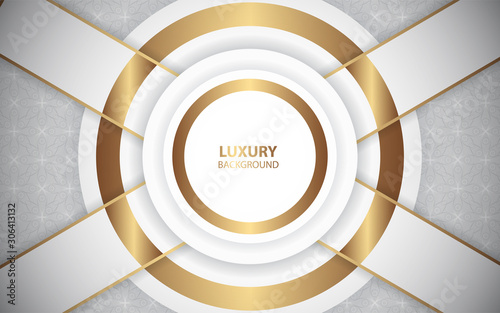 Modern abstract light silver background vector. Elegant shape design with circle golden line. Luxury vector design template concept for use element modern cover, banner, card, corporate, advertising