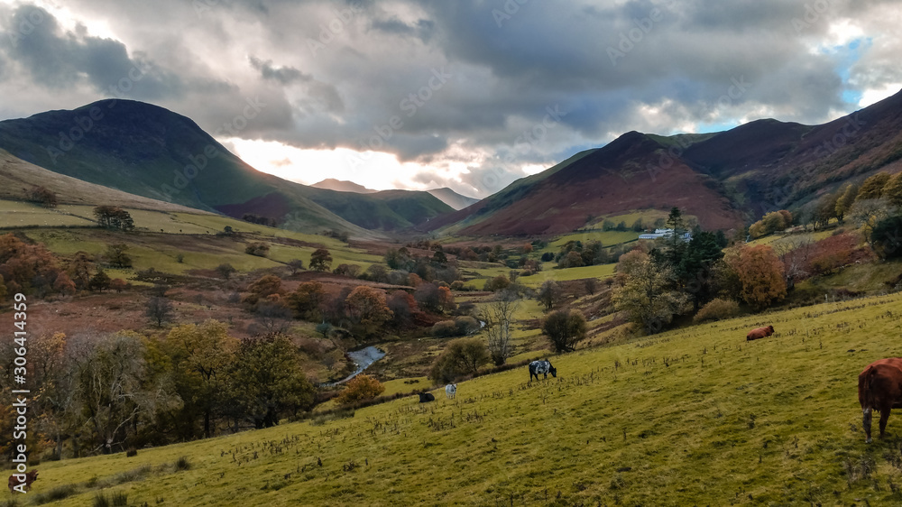 Naklejka premium The Newlands Pass scenic valley in autumn with snow capped mountains. Popular destination in the Lake District, Cumbria, United Kingdom.